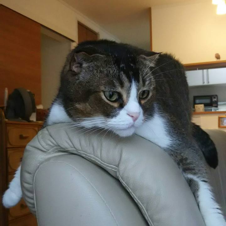 05bd73fc e7c3 4a22 a3a4 7c1d07fd5387 1530917797145