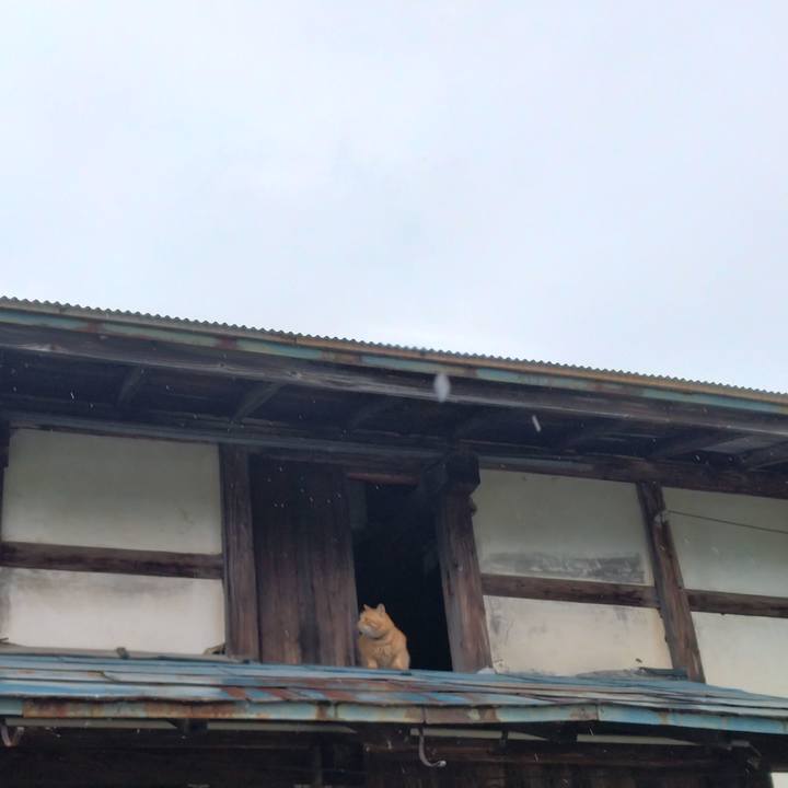 05bdb370 6fa9 4340 8735 b74bc981b021 1687838059336