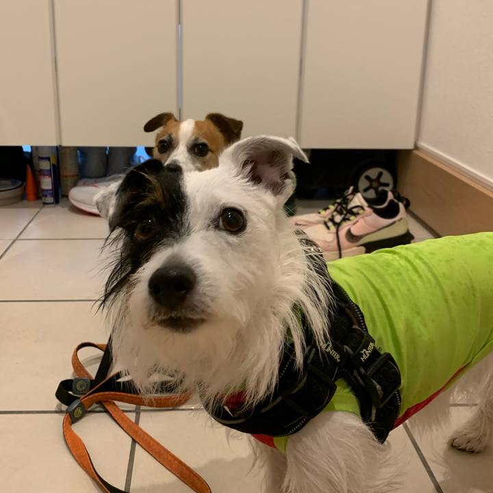 05bdb8bd f823 4a02 8441 50a68074ba49 1593503891389