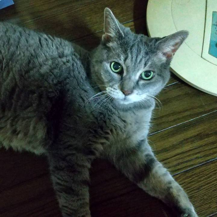 05bdcaa4 21d4 482f a743 b59f3e7c4565 1627562332681