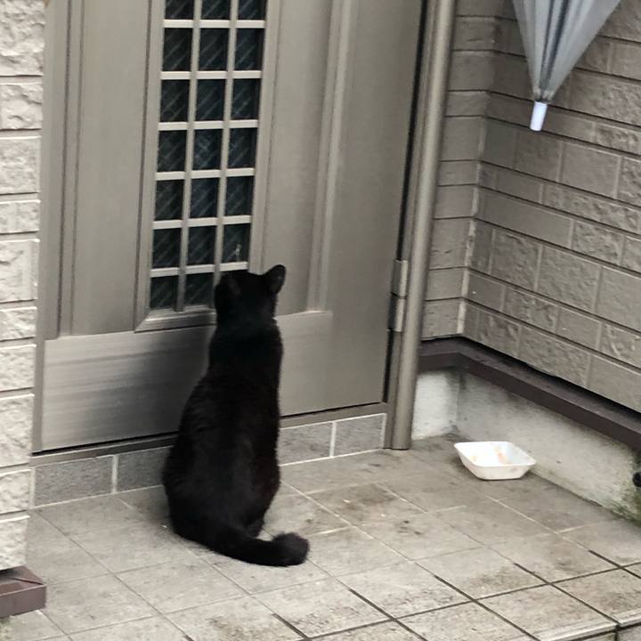 05bdcee0 b7fd 417f 8016 6349118b3f03 1562343931496