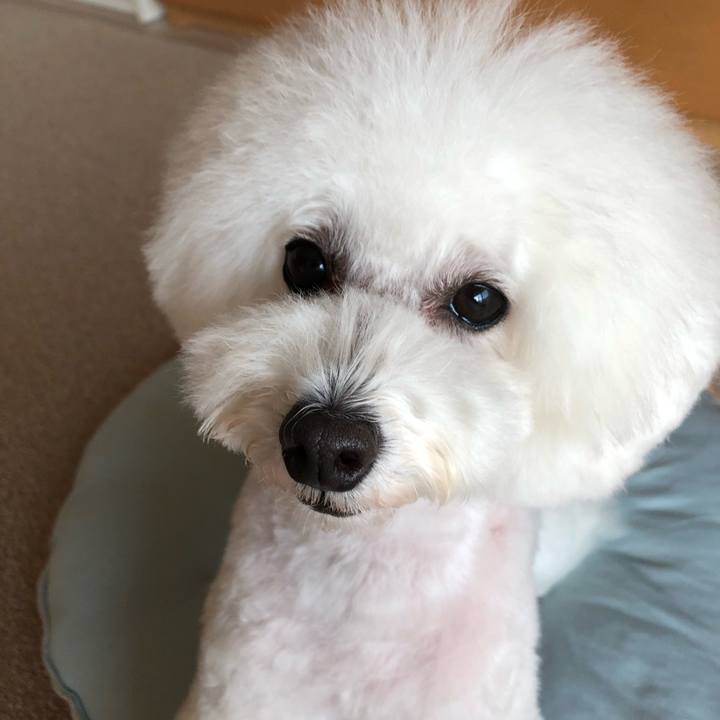 05bdd89c 25da 46d4 8309 0f651669909b 1662202503804