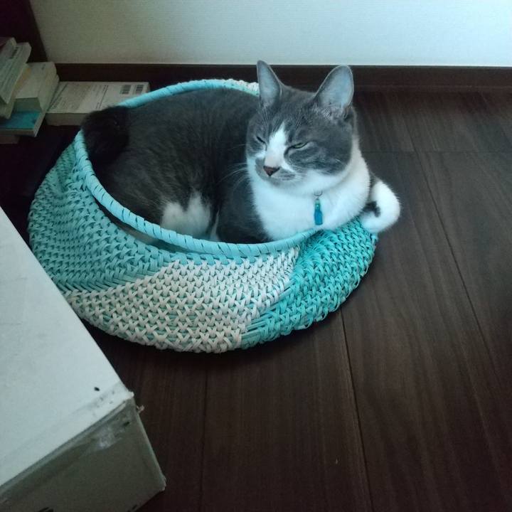 05bdef97 4c8f 4c4a 8b14 9cd736d02225 1623965561443