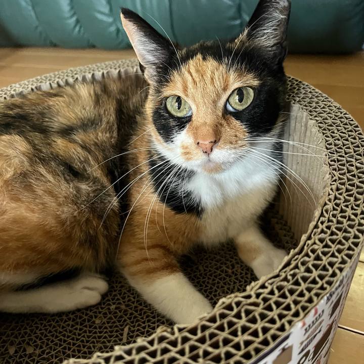 05bdefa0 29ad 47c6 9af1 9571fd8d11a4 1655602366211