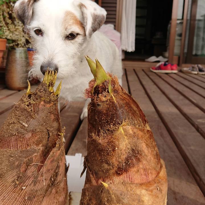 05be8884 a0e0 4952 bebd c22ea2af80a7 1522799703842