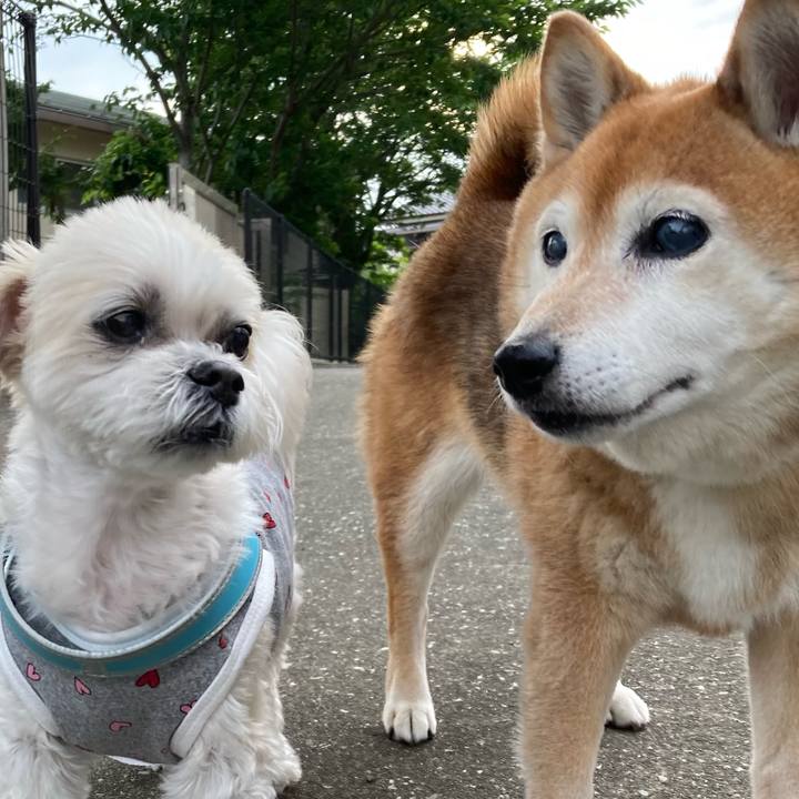 05be9092 4f53 4032 abd0 22417624a9fe 1716287410323