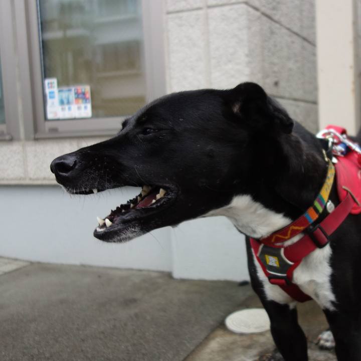 05bea7b6 462c 438a 8805 741b39936526 1589863349594