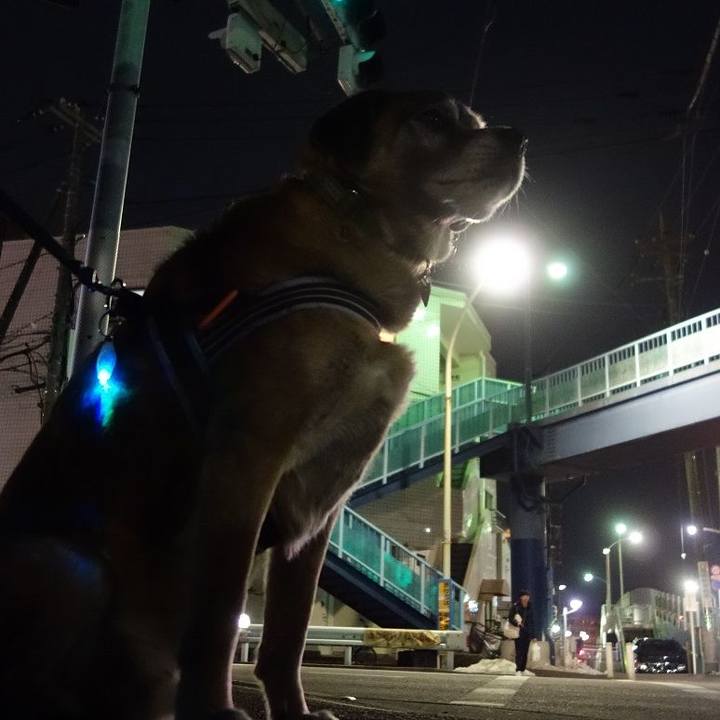 05bea7fa 1cec 4527 8273 e9063dcb6e01 1517436327628