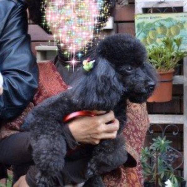 05beaf46 f96d 4465 9a8e d8e7ac195c2a 1585831768594