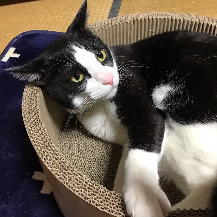 05becd55 161e 43c2 af89 48da16454cbf 1710928704203