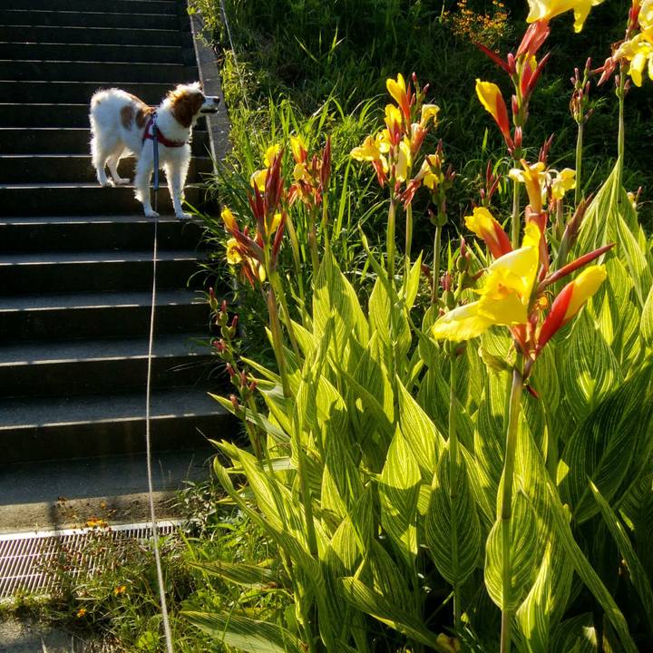 05bf1a23 932f 436a 8c8e ff567332104f 1564400993344