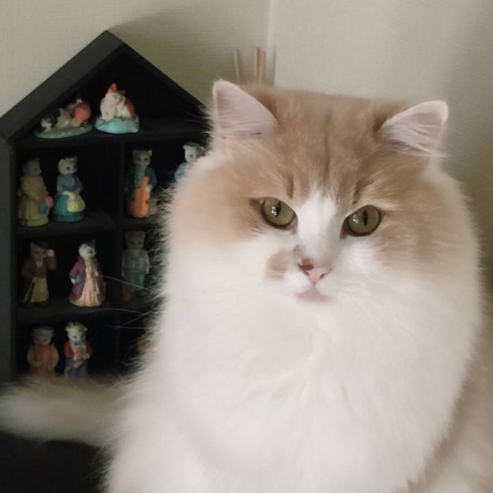 05bf5dae 01ca 4836 8249 248373a1d7f9 1508217842146