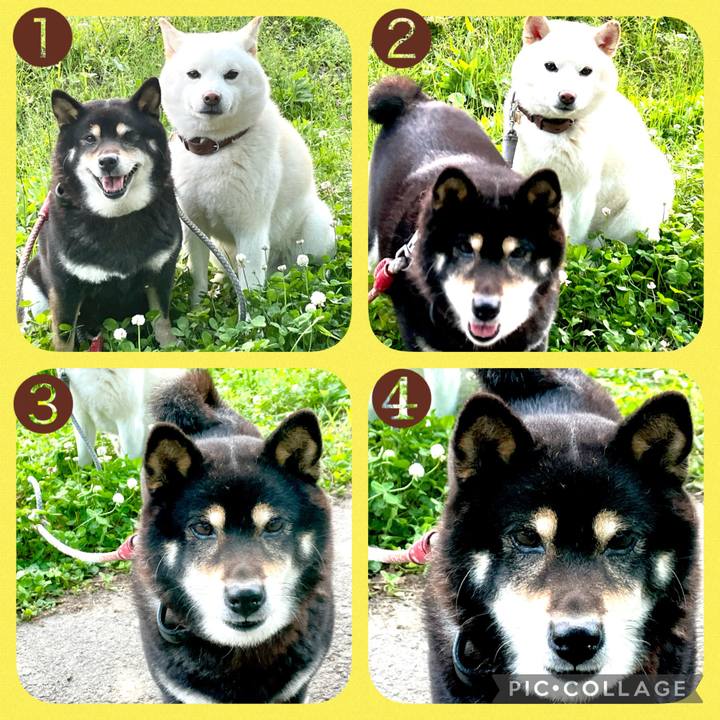 05bf6375 7478 4363 b265 7f978f5212c4 1620947771146