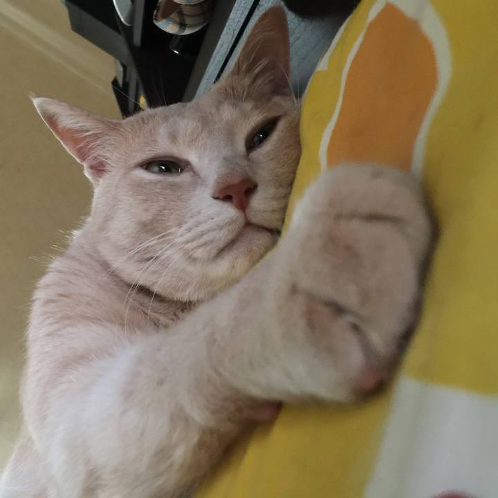 05bf74a6 2274 4819 82e1 62d71bfbff62 1551605792703