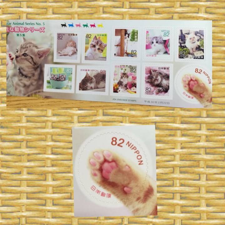 05bf7fee f72c 461f 80a8 8f6b2c8d094c 1526566909642