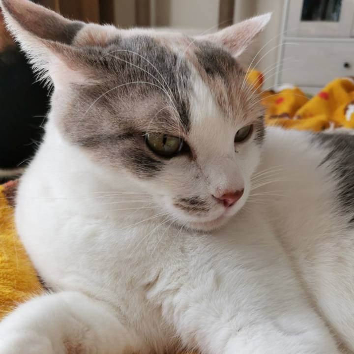 05bf8ba7 761a 4f12 bf15 650d9213206e 1643775506868