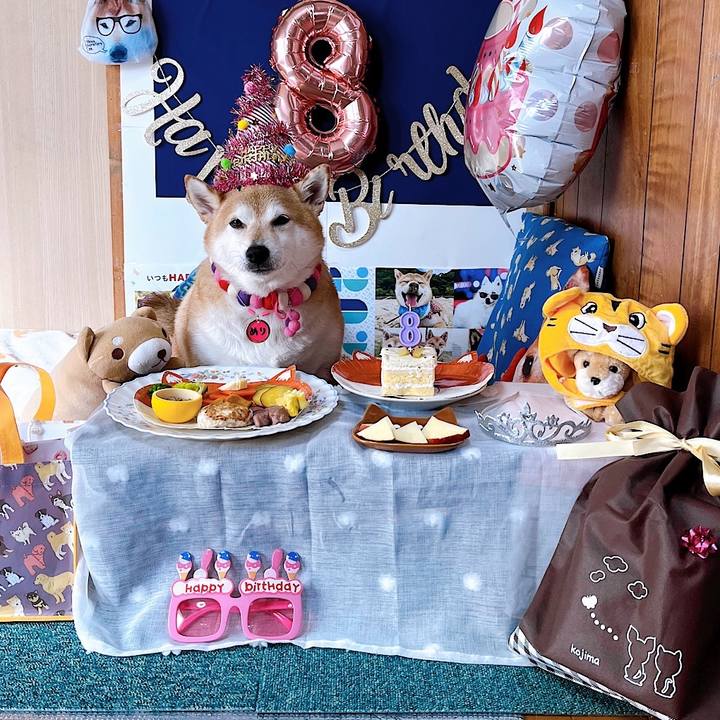 05bffd44 df56 409e 9117 b134ed7f9091 1668119212090