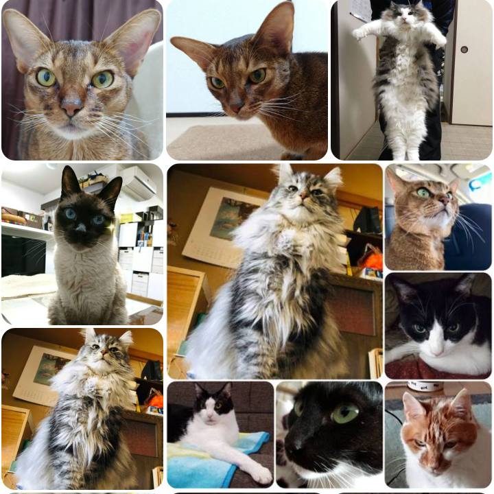 05c00140 e174 4f1c 9035 85bf9ae5738d 1555253478941