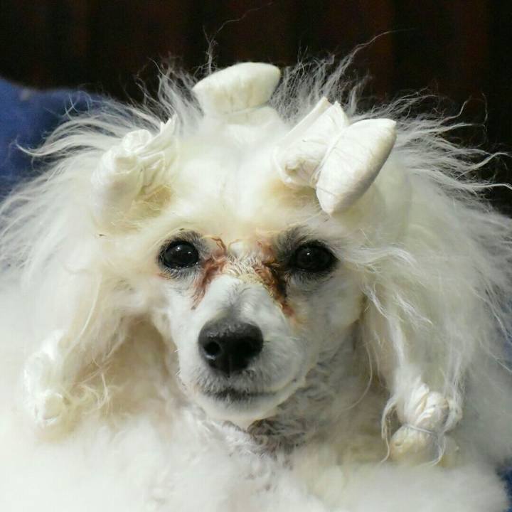 05c003d7 984c 442c 8ccb b60fa1c1c2b5 1521201917803