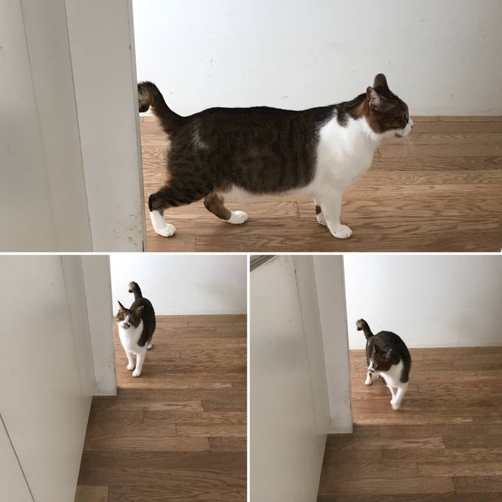 05c00515 14fe 4eed b4fd 3683150b2a9d 1513397967997