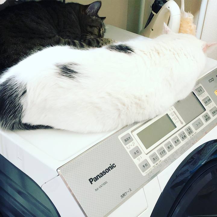 05c04a26 b39b 439e 8d42 64317651ef4f 1571275369716