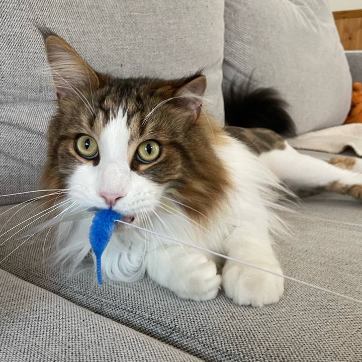 05c05604 fa12 42a8 9a17 422638d8a6b0 1688075709222