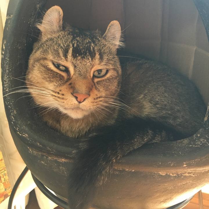 05c06579 1898 441a 9e20 f8856ed7b284 1593235545256