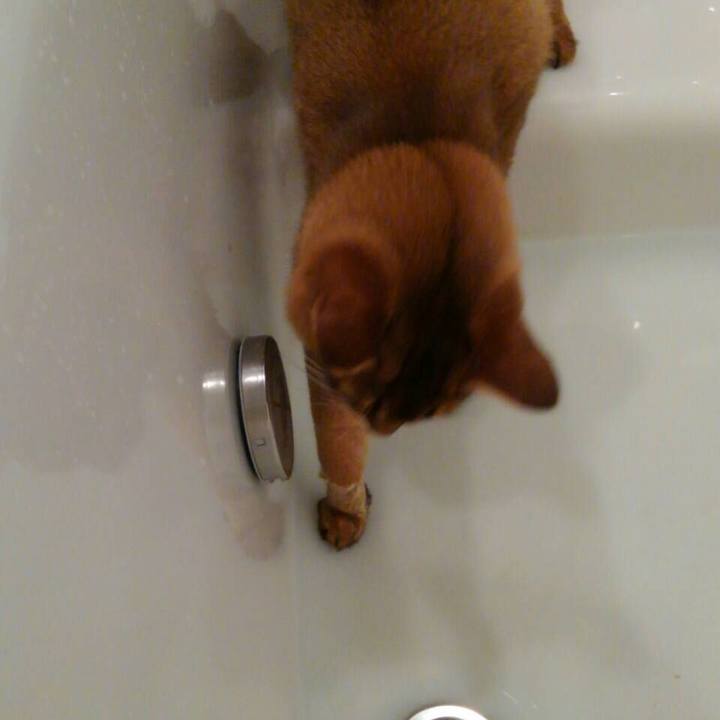 05c08871 de43 4b65 baf5 4d8f6def75e2 1590645180255