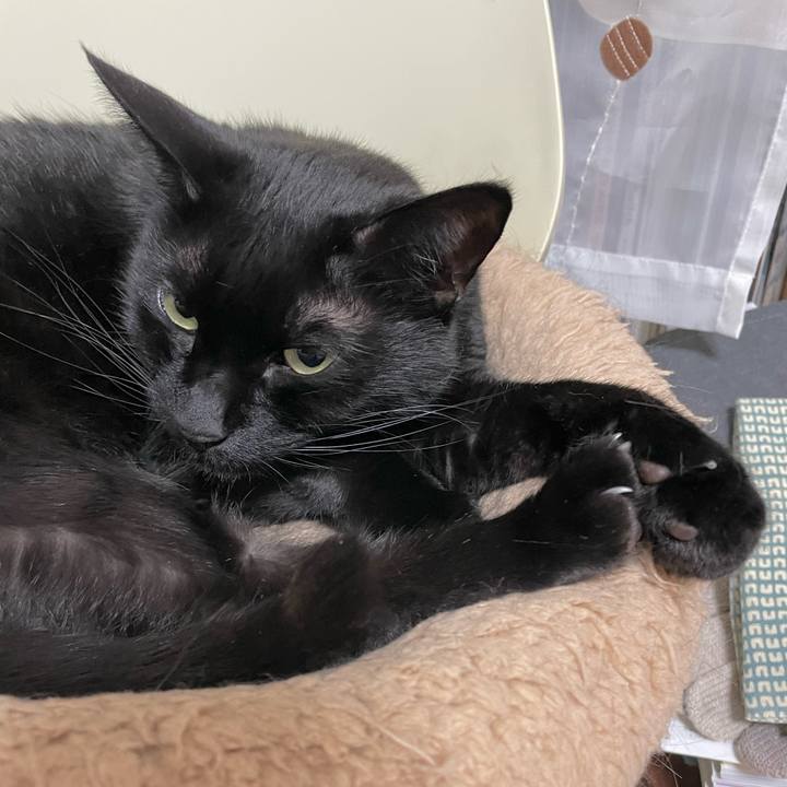 05c0934e 113f 4535 934d da06bb43d298 1651238654794