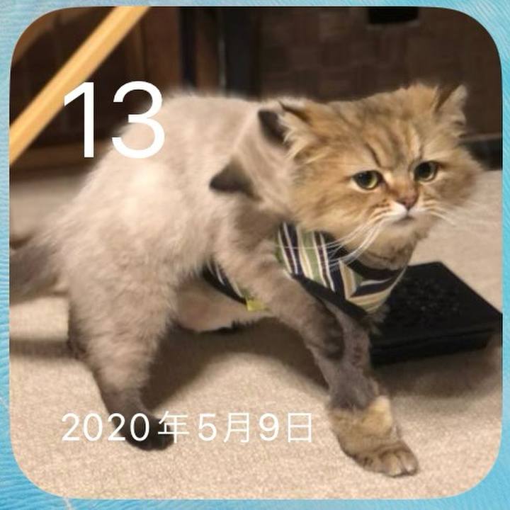 05c0aca0 c99f 4289 815a 1a8133d959e9 1715600203918