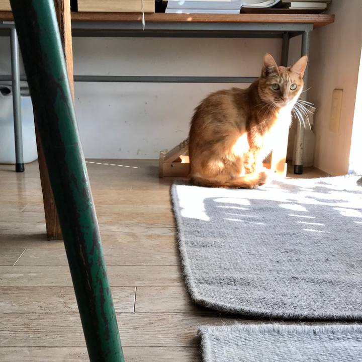 05c0b2b0 ac97 47f9 b0fc 8410f3cbfe1f 1549166556535