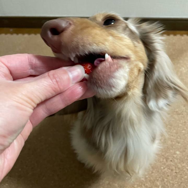 05c0bfca 06ea 437e 8791 ace56a9d83f1 1769520491893