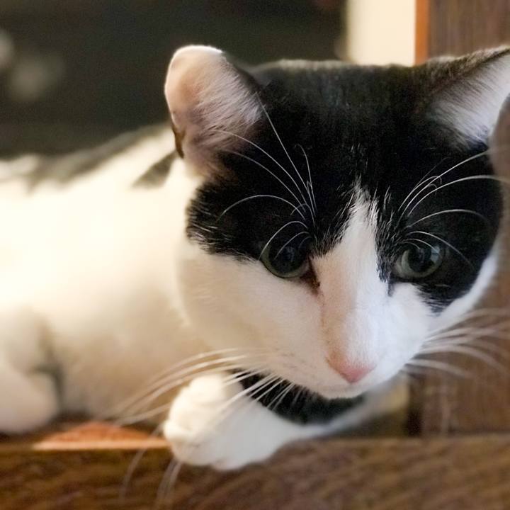 05c144a5 50ac 48fd b7b6 5aeae8576c9f 1517928366409