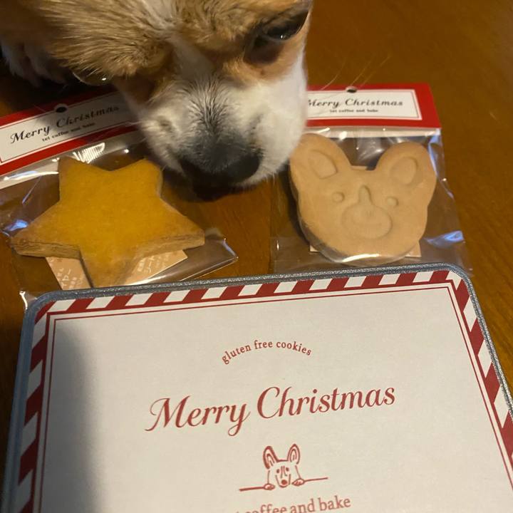 05c14b93 84b3 43a7 892e f4dd286b2aa3 1766561889342