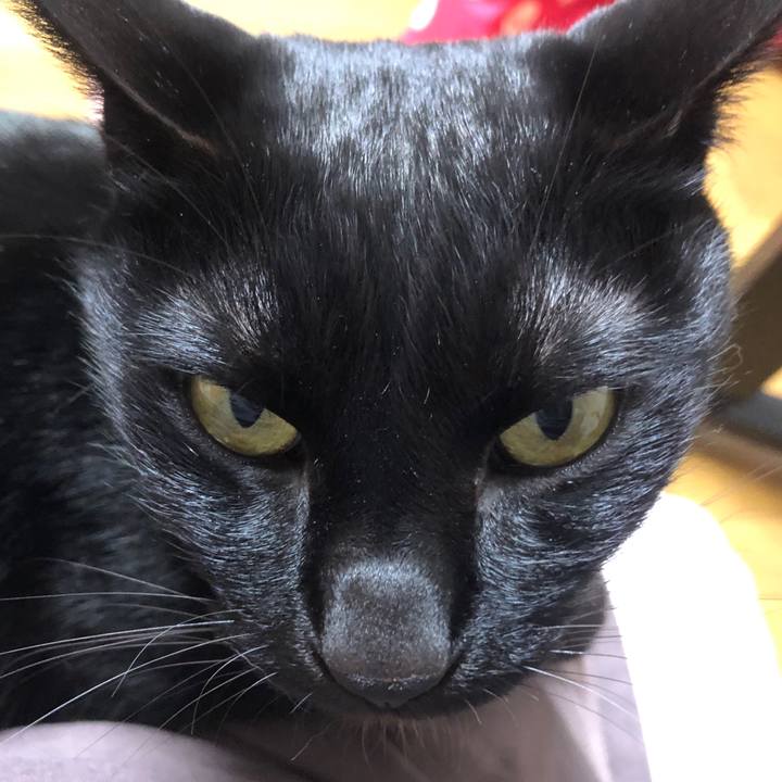 05c14fbe a277 478a bdea c41a5f7db9a5 1701775509980