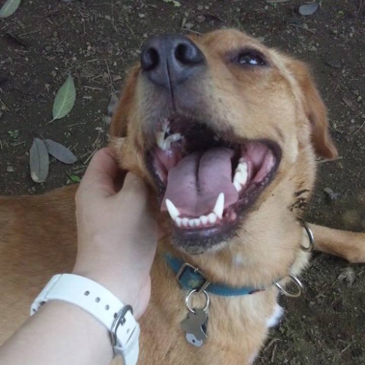 05c18527 52c3 400a 902a 5502a3ba6769 1511868592716