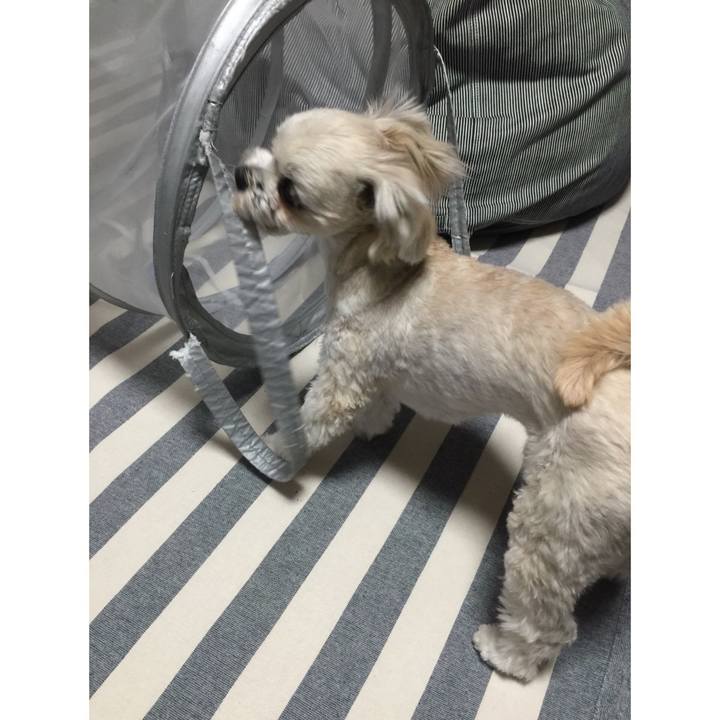 05c1a5e6 8e1d 4235 bfb8 778b2327494a 1520420337284