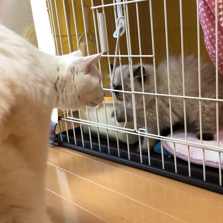 05c1dd36 3d88 4fe8 ac18 b7d0d03ca862 1630201717863