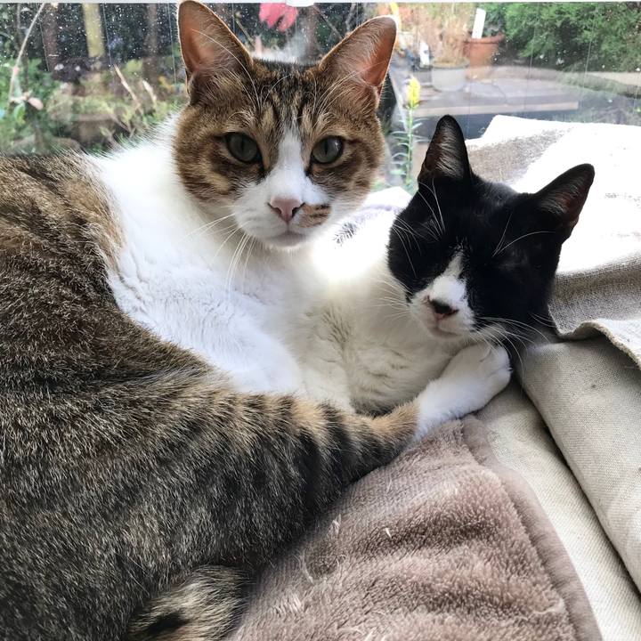 05c24899 943a 4b2d 845b 3fb23cc6208d 1509681672009