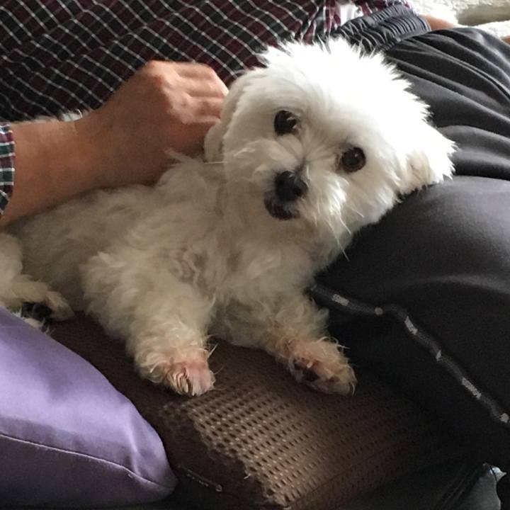 05c24c16 4545 425e 9722 d3df595f1c55 1563159148469