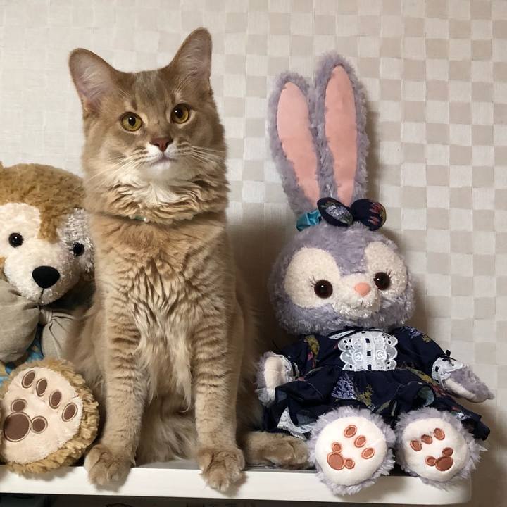 05c2b3e5 0a53 404f b335 7215ec200ef9 1560042874652