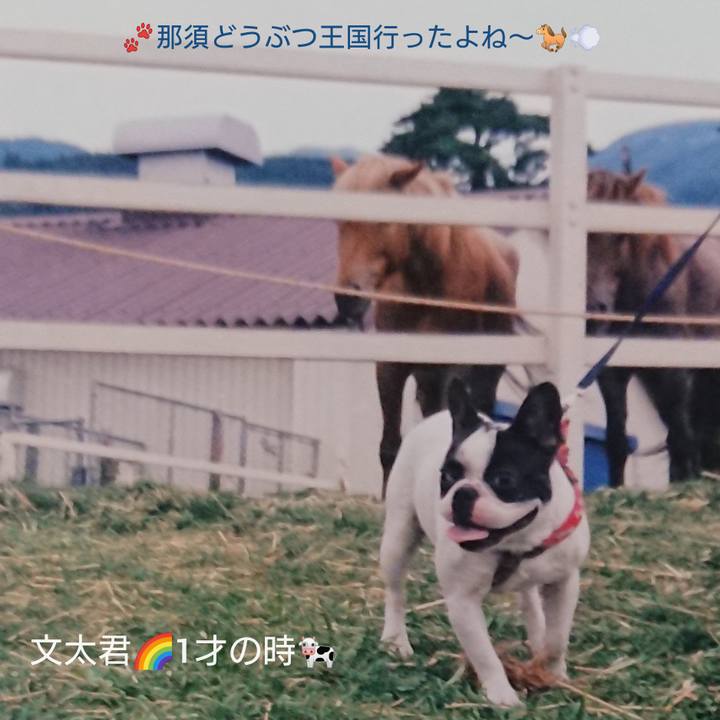 05c2d4df 0b56 45d2 a4c8 6edf3f791fc7 1599797515111