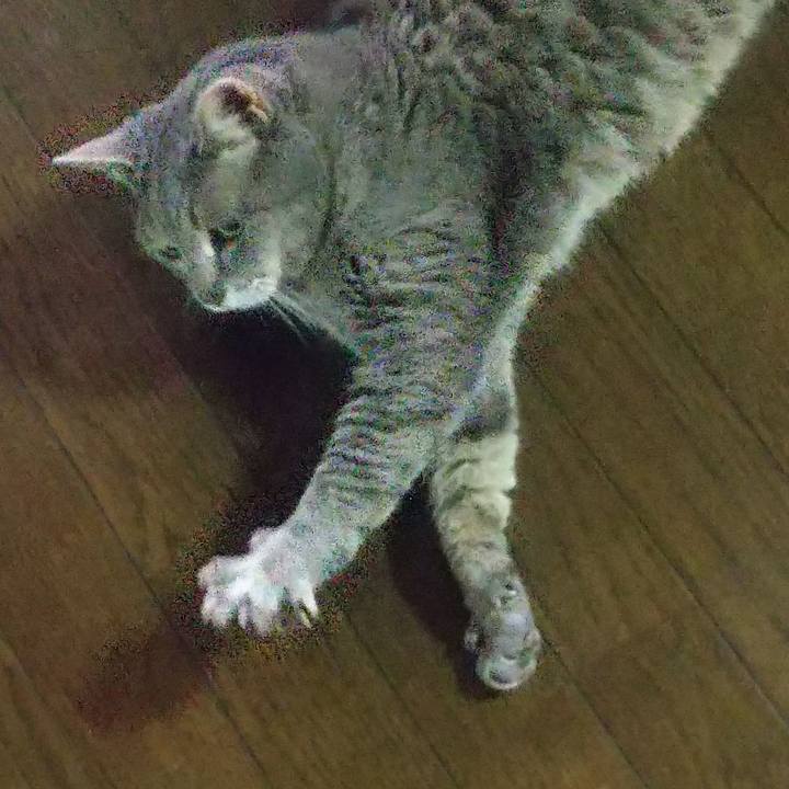 05c34e9c 4c3e 45a0 a030 a0fab5c6831c 1655715748425