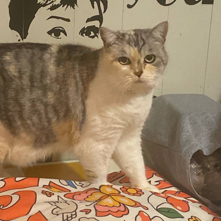 05c35a79 1410 475f 870c 1422955ace4c 1702740045082