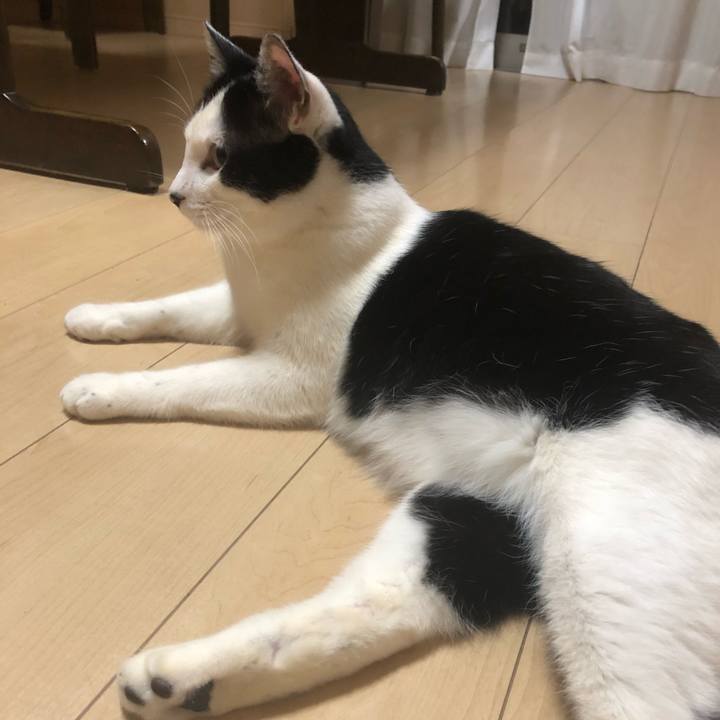 05c3a46b 0850 4fa5 b940 a741b4a3008b 1554907695067