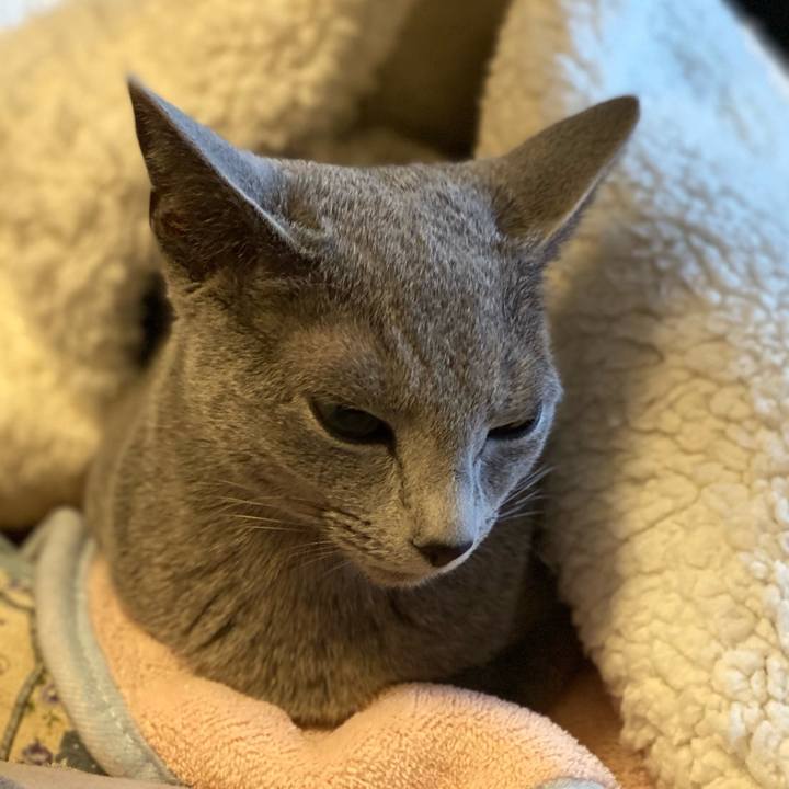 05c3ba67 8cd5 41b7 9577 6ec6f9f0b520 1606348726706