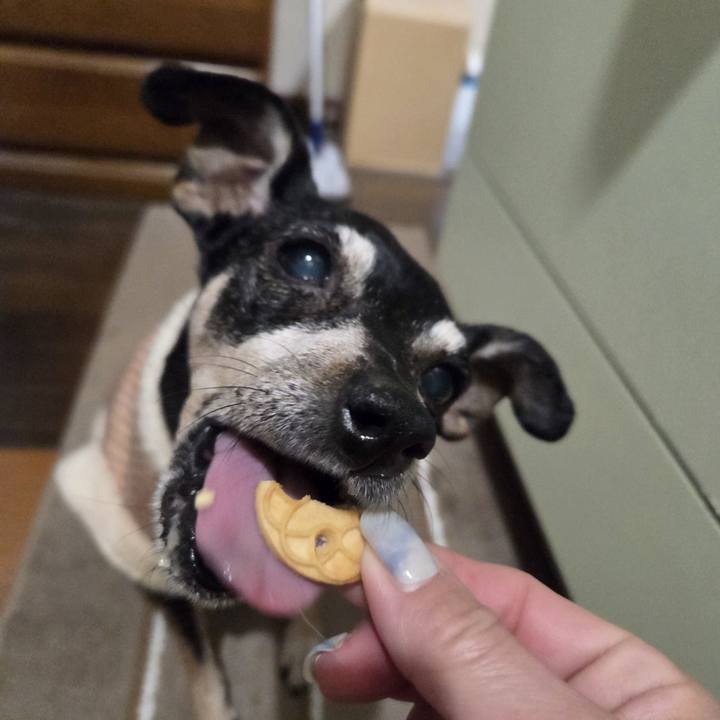 05c3ed76 a940 4657 9868 95de76951921 1772135293528