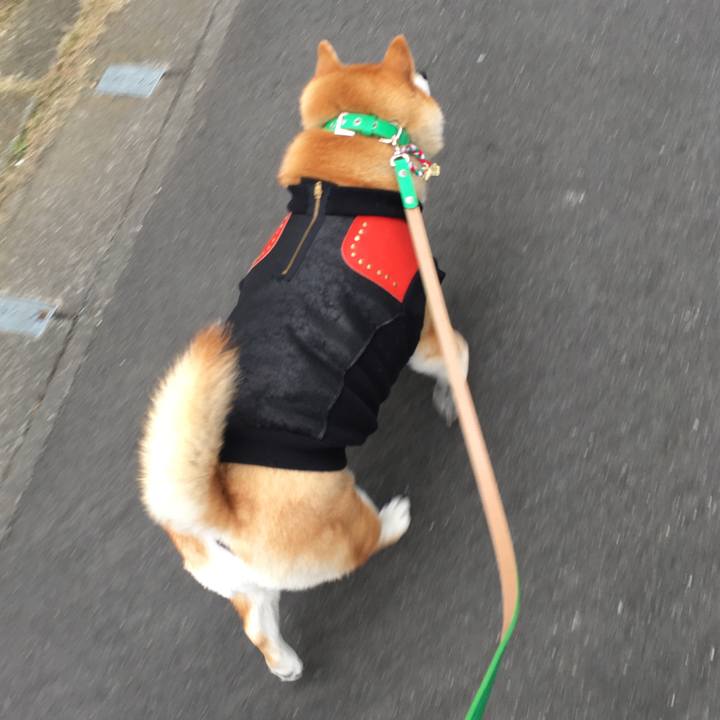 05c401f2 3f71 4416 a616 eb35fb855f77 1608778127424