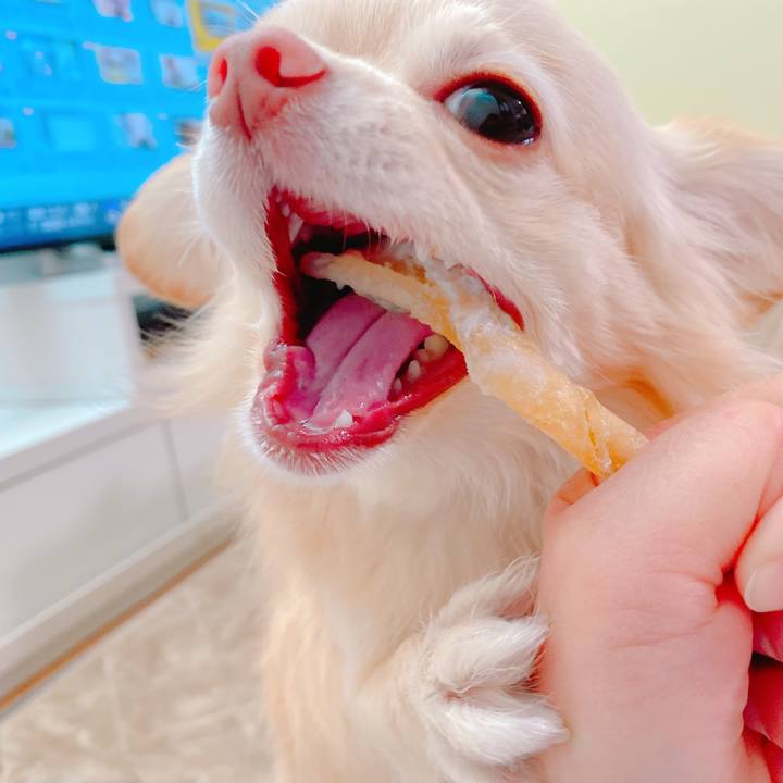 05c4257d 28d8 4668 afd1 4a7a7dda5495 1641198577700