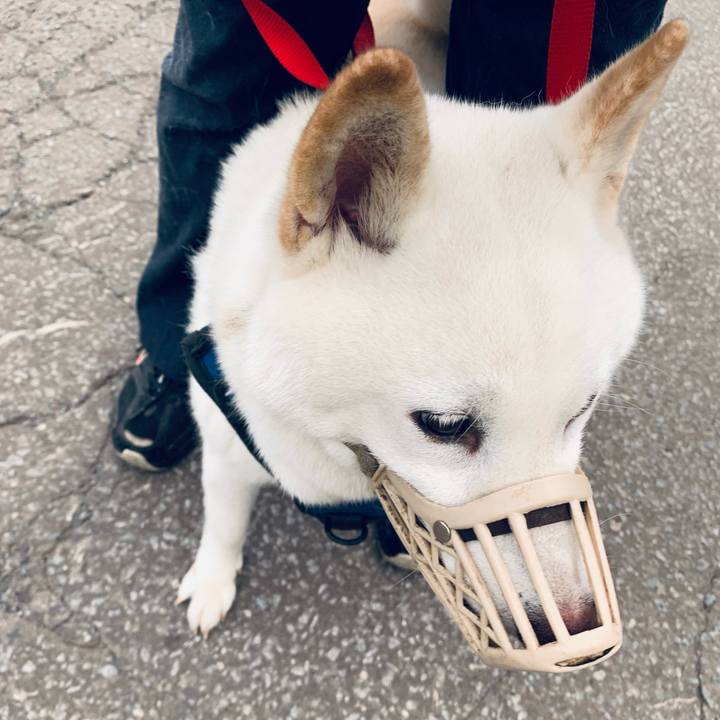 05c4a0db c078 41e7 8546 02767ab794ea 1631915317302